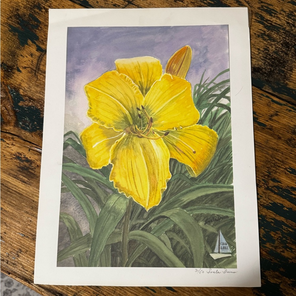 Yellow Lily Art Print